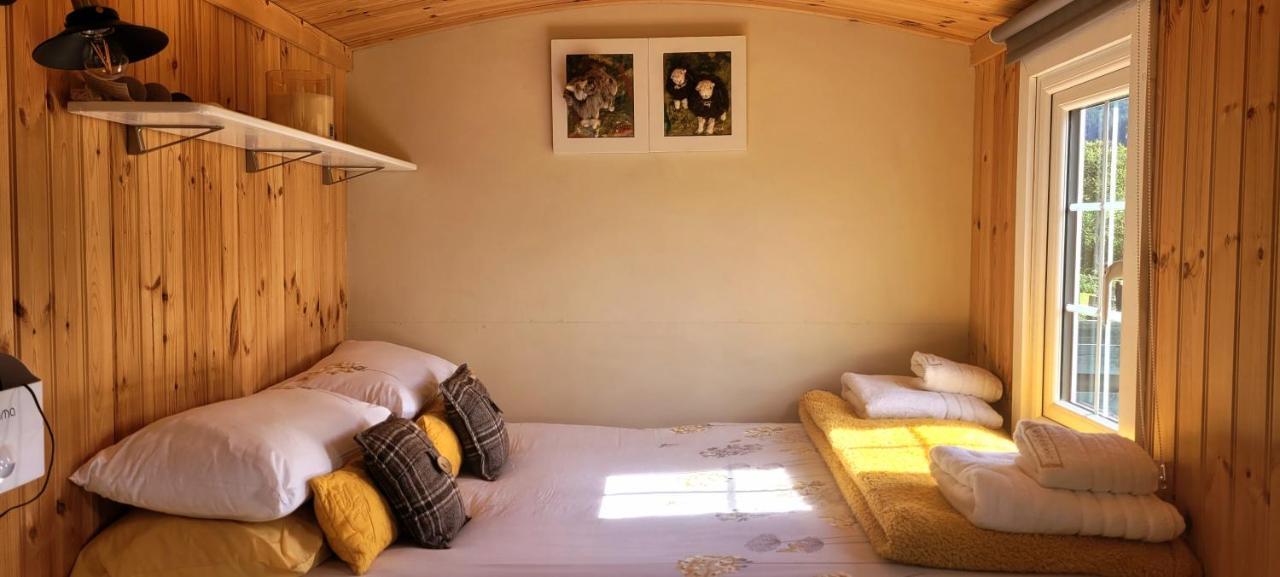 Small Cozy Shepherd Hut 20 By 7 Feet With Boxed In High Double Bed 巴尔马卡拉 外观 照片